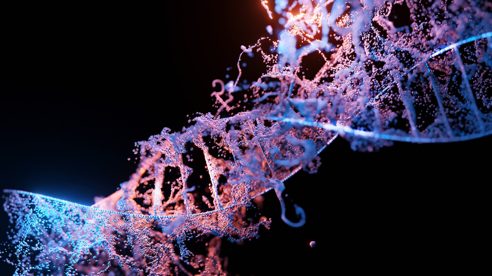 Understanding DNA Testing