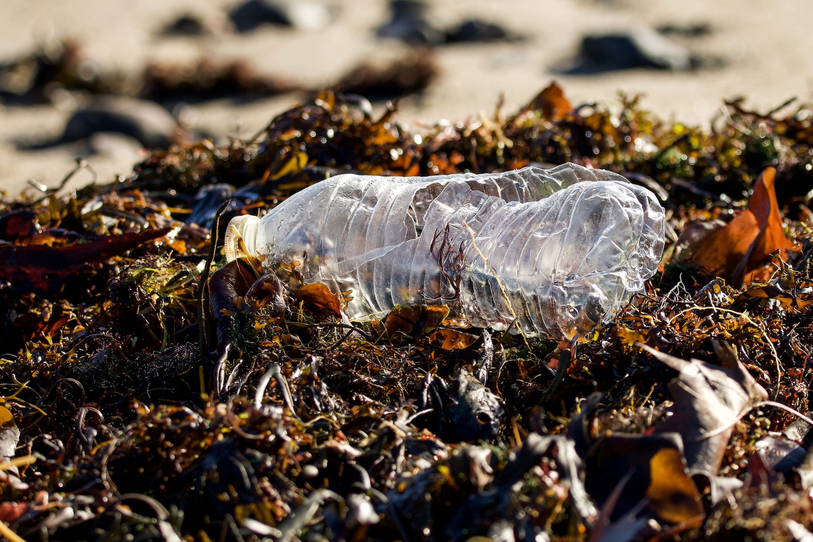 The Devastating Impact Of Single-Use Plastic