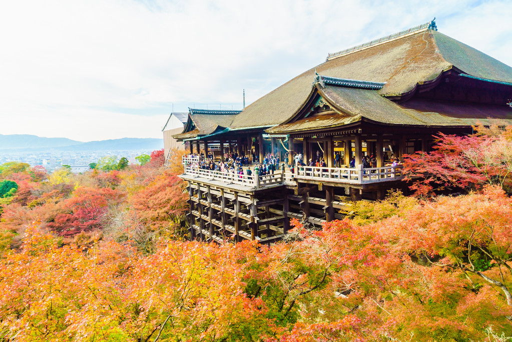 Japan's Sacred Shrines